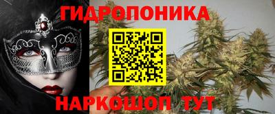 спайс Будённовск